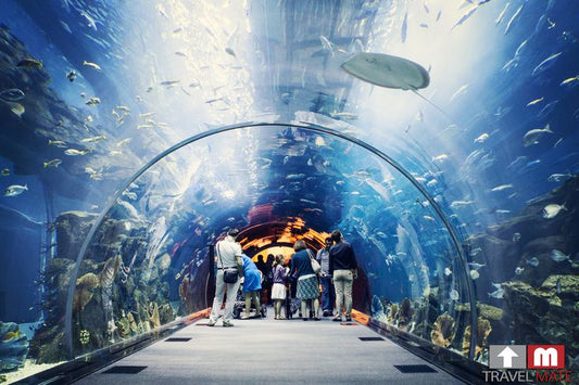 Dubai Mall Aquarium + Under Water Zoo