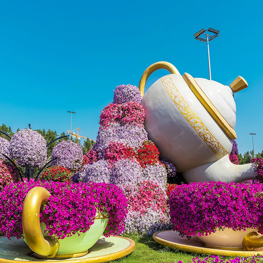 Miracle Garden