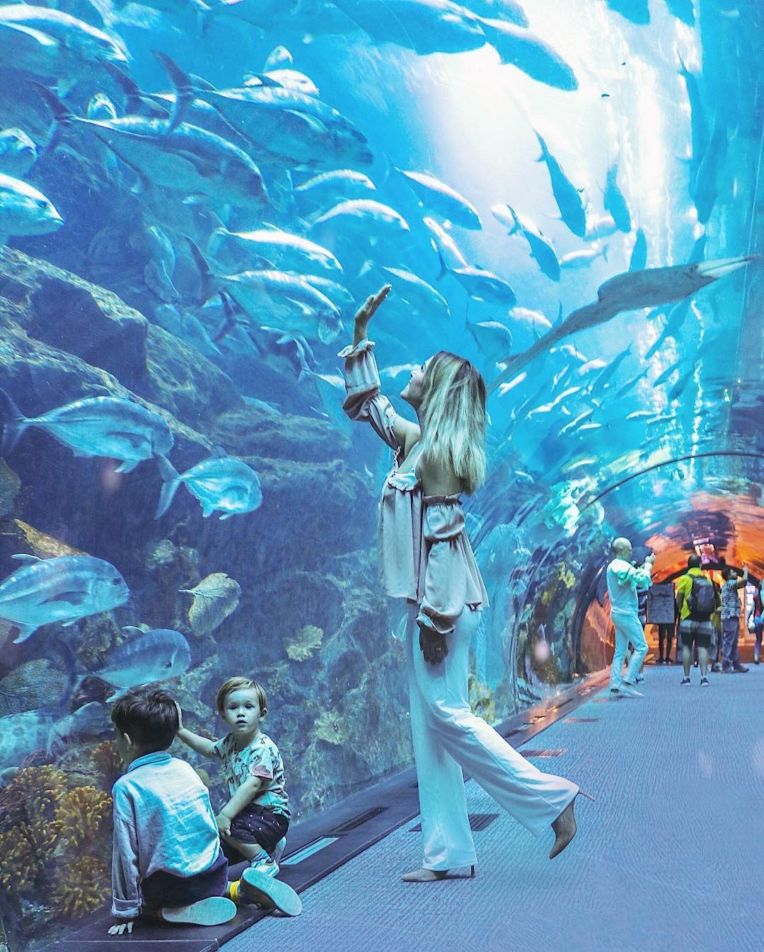 Dubai Mall Aquarium + Under Water Zoo