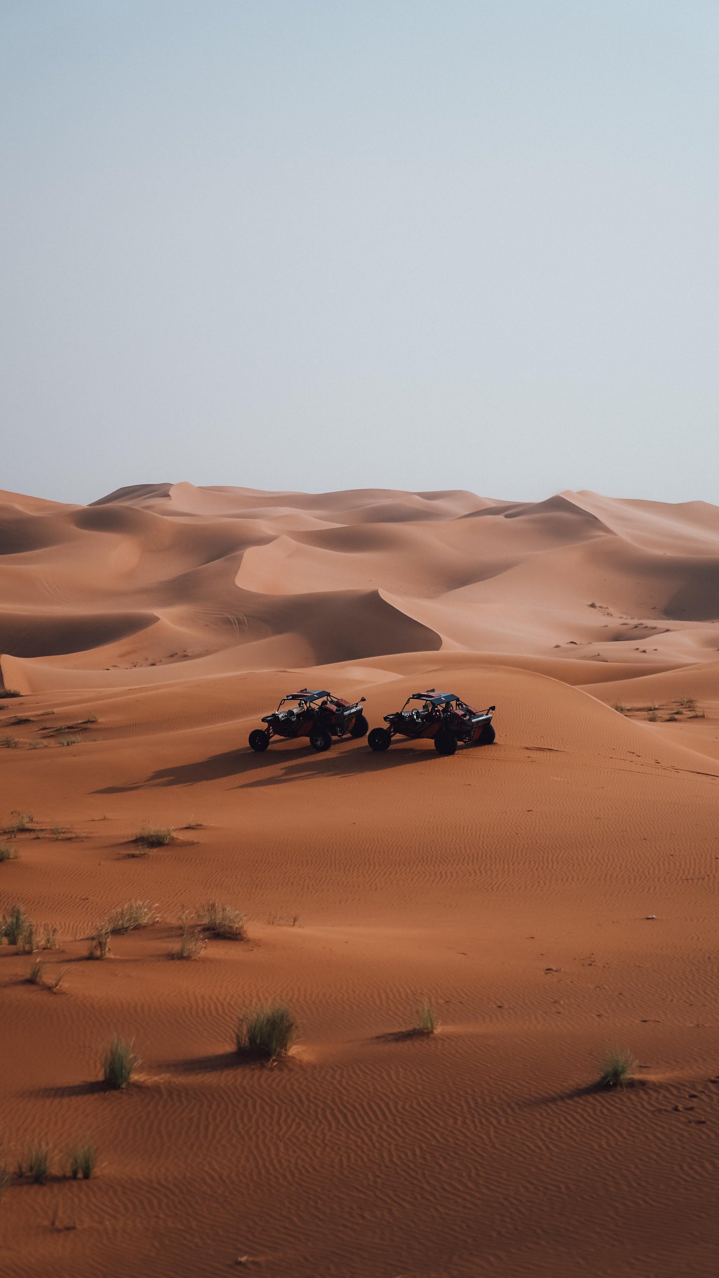 Hummer Desert Safari